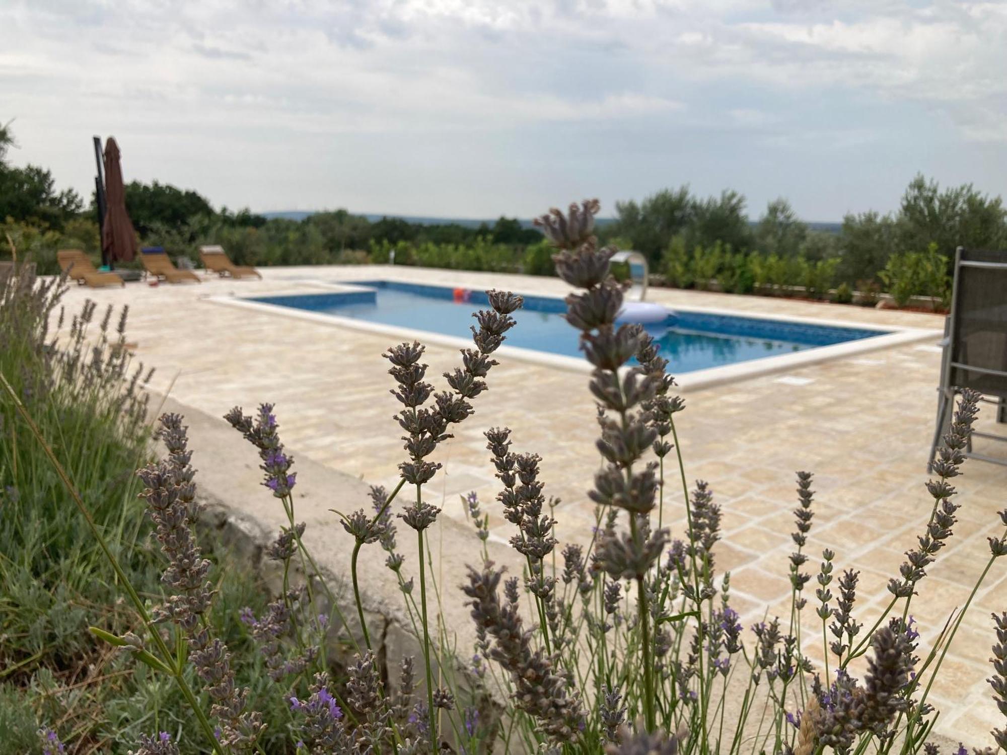 Villa Doci Zadar Exterior foto